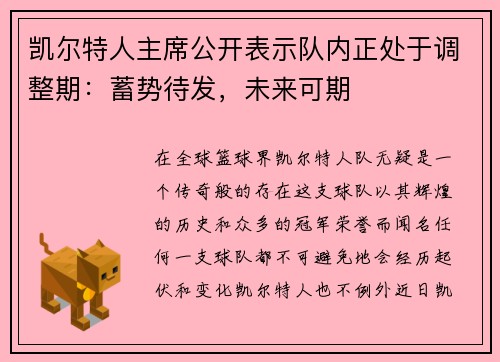 凯尔特人主席公开表示队内正处于调整期：蓄势待发，未来可期